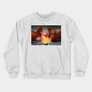 Featured Maple Leaf Crewneck Sweatshirt